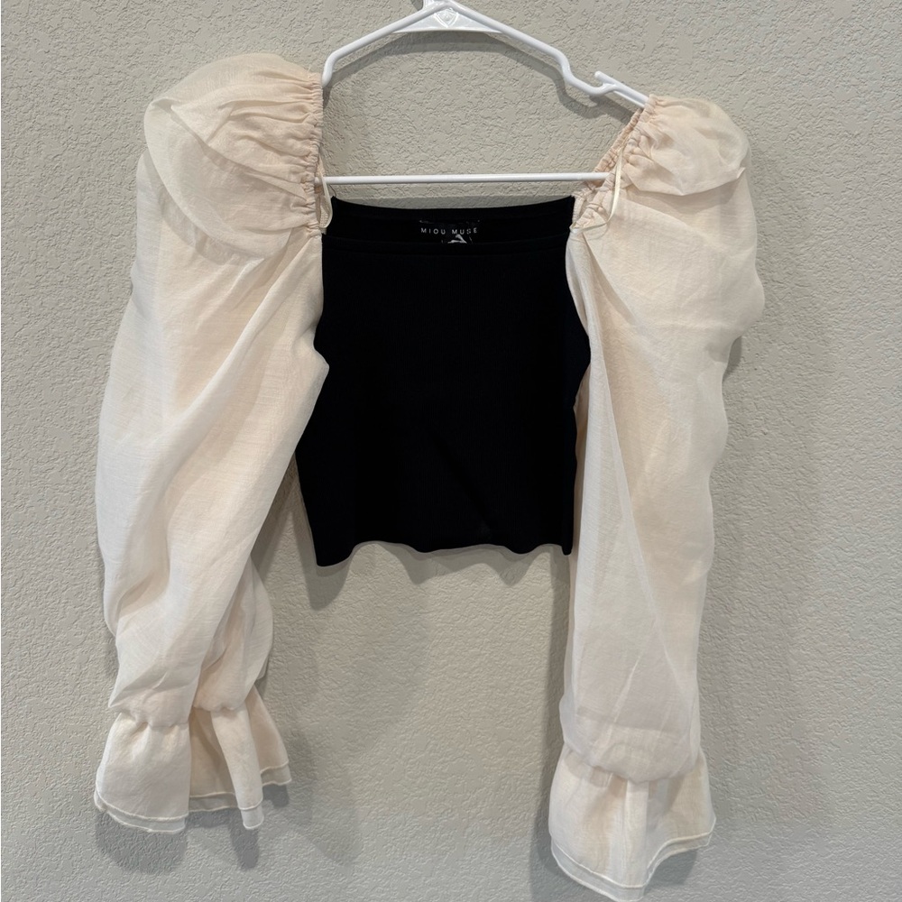 Long sleeve Top, sheer sleeves